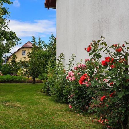 Hotel-Pension Am Rosarium 장어하우젠 외부 사진