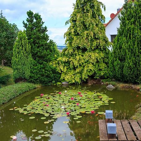Hotel-Pension Am Rosarium 장어하우젠 외부 사진