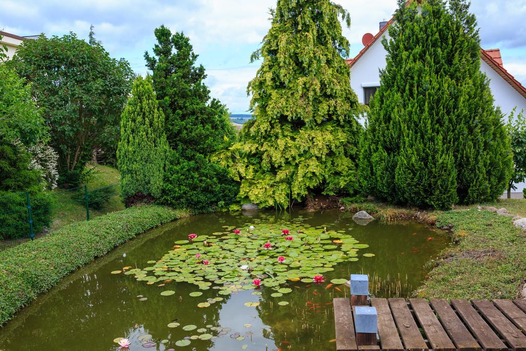 Hotel-Pension Am Rosarium 장어하우젠 외부 사진